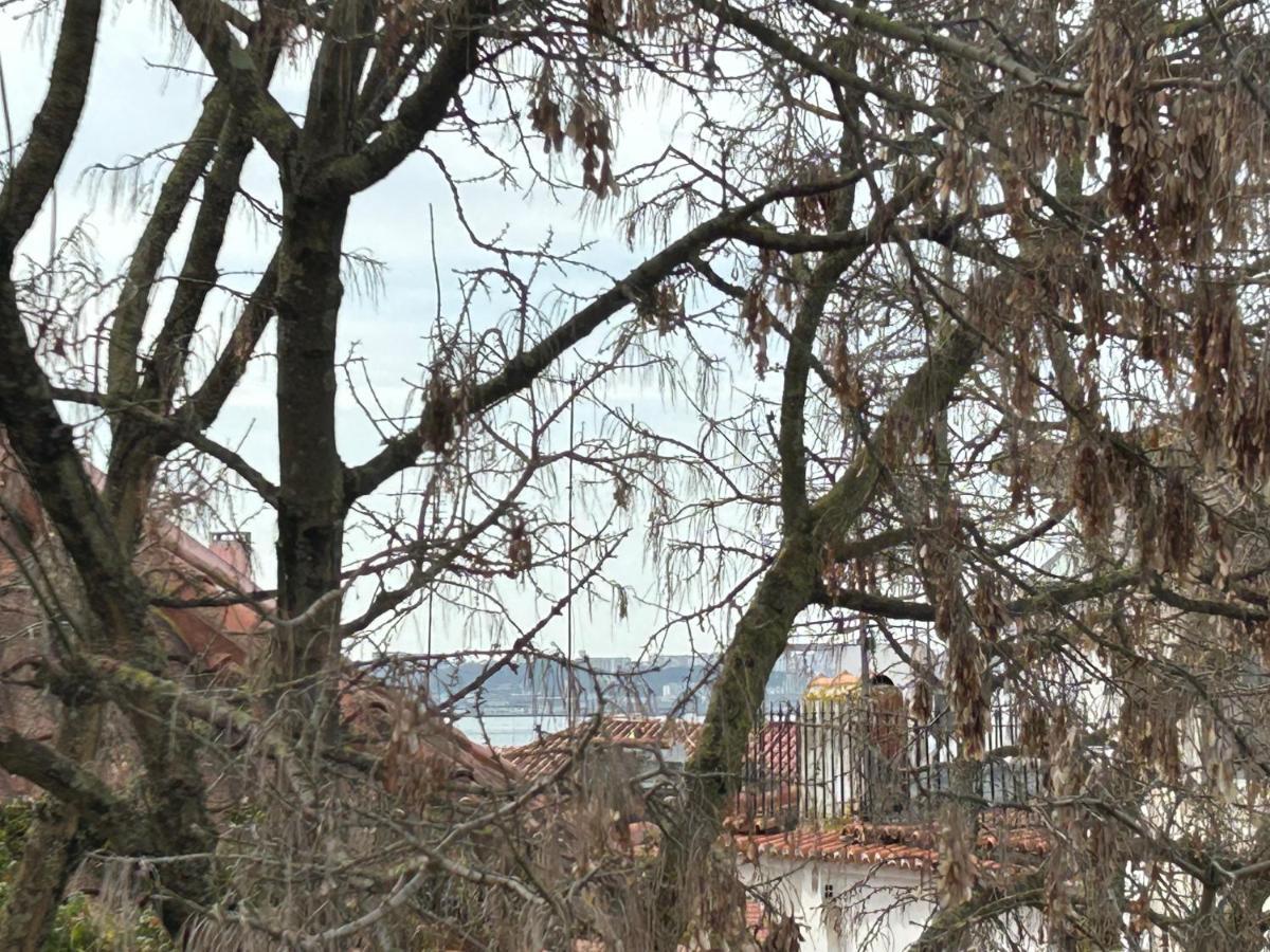 Se De I Apartamento Lisboa